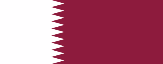 WRO2015 Qatar